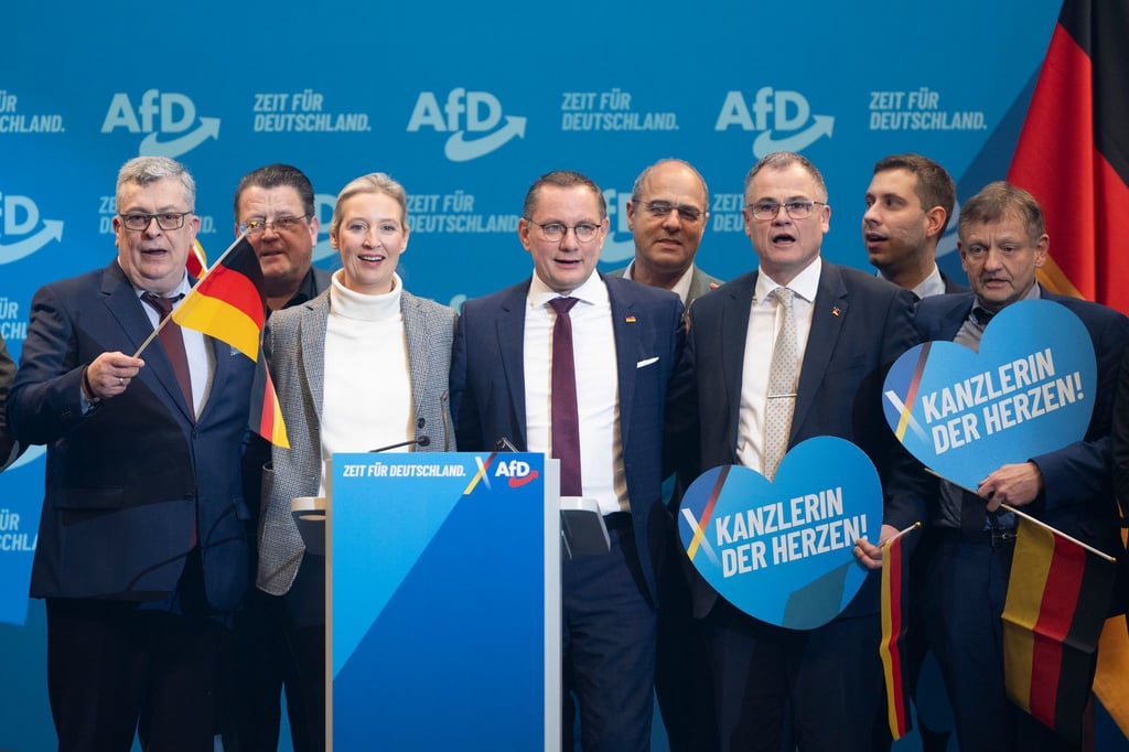Der Bundesvorstand der AfD möchte sich am Montagabend mit den internen Vorwürfen gegen führende Funktionäre der AfD-Niedersachsen beschäftigen. (Archivfoto)
