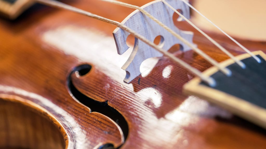 Mehr Platz für Musik: Lufthansa erlaubt ab März Musikinstrumente mit einem Summenmaß von maximal 125 Zentimetern in der Kabine.