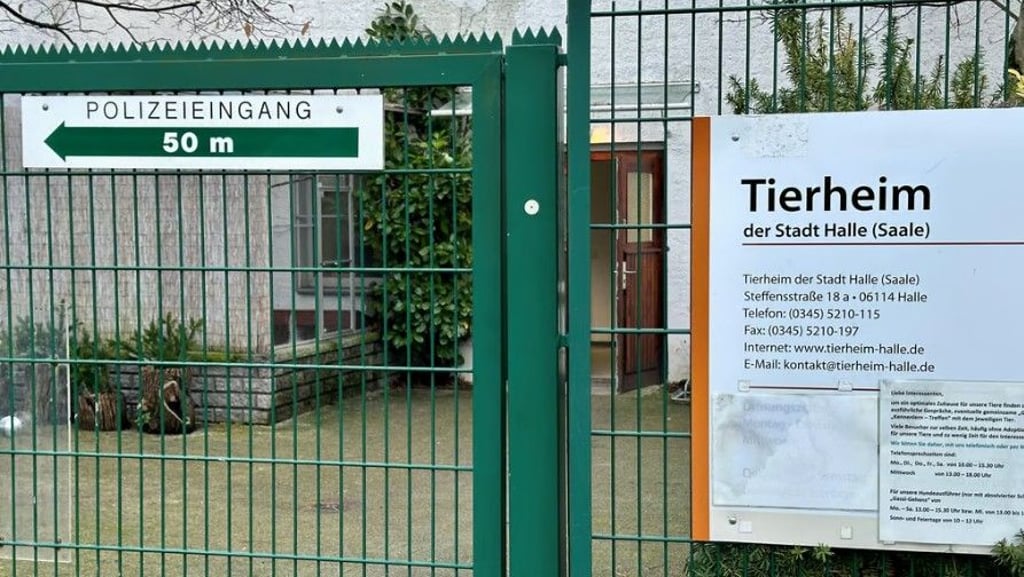 Blick auf den Eingang des Tierheims Halle in der Steffensstraße