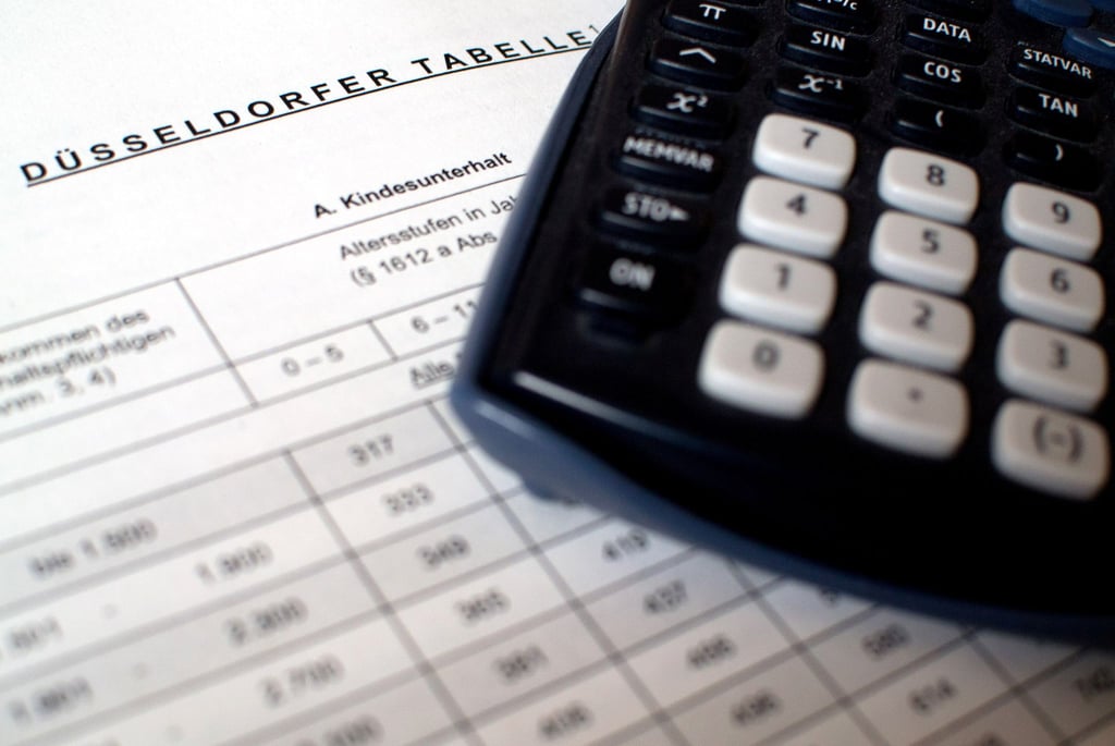 Die Offenlegungspflicht des Einkommens entfällt bei Zahlung des Höchstsatzes und unbegrenzter Leistungsfähigkeit.