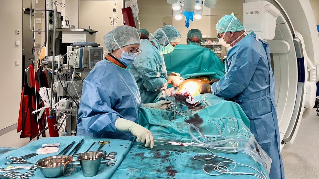 Im Hybrid-OP im Wernigeröder Harzklinikum herrscht reges Treiben. An diesen Tag stehen zwei Eingriffe an einem Patienten auf dem Plan.