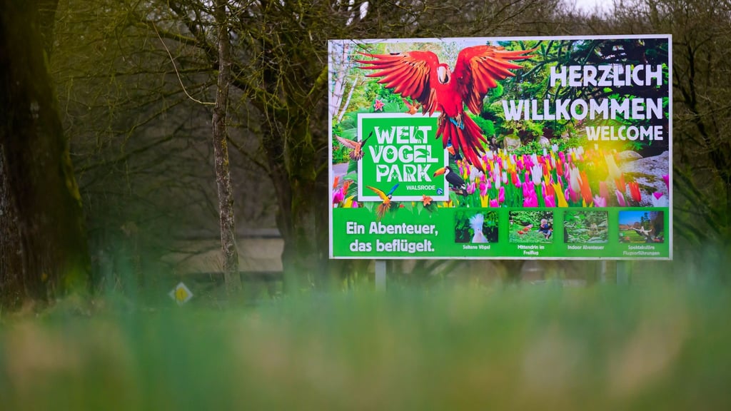 Nach dem Ausbruch der Geflügelpest bleibt der Vogelpark Walsrode vorübergehend geschlossen. (Archivbild)