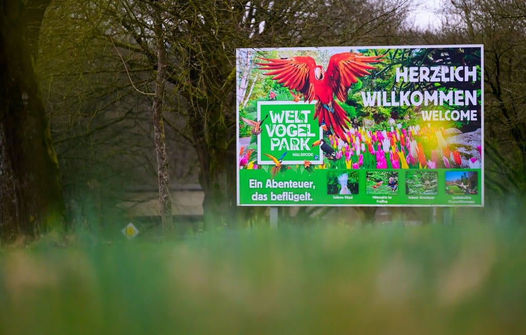 Nach dem Ausbruch der Geflügelpest bleibt der Vogelpark Walsrode vorübergehend geschlossen. (Archivbild)