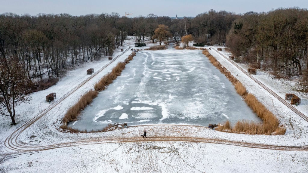 Im Viereckteich des Dessau-Roßlauer Georgiums ist es zu einem Massensterben von Fischen gekommen.