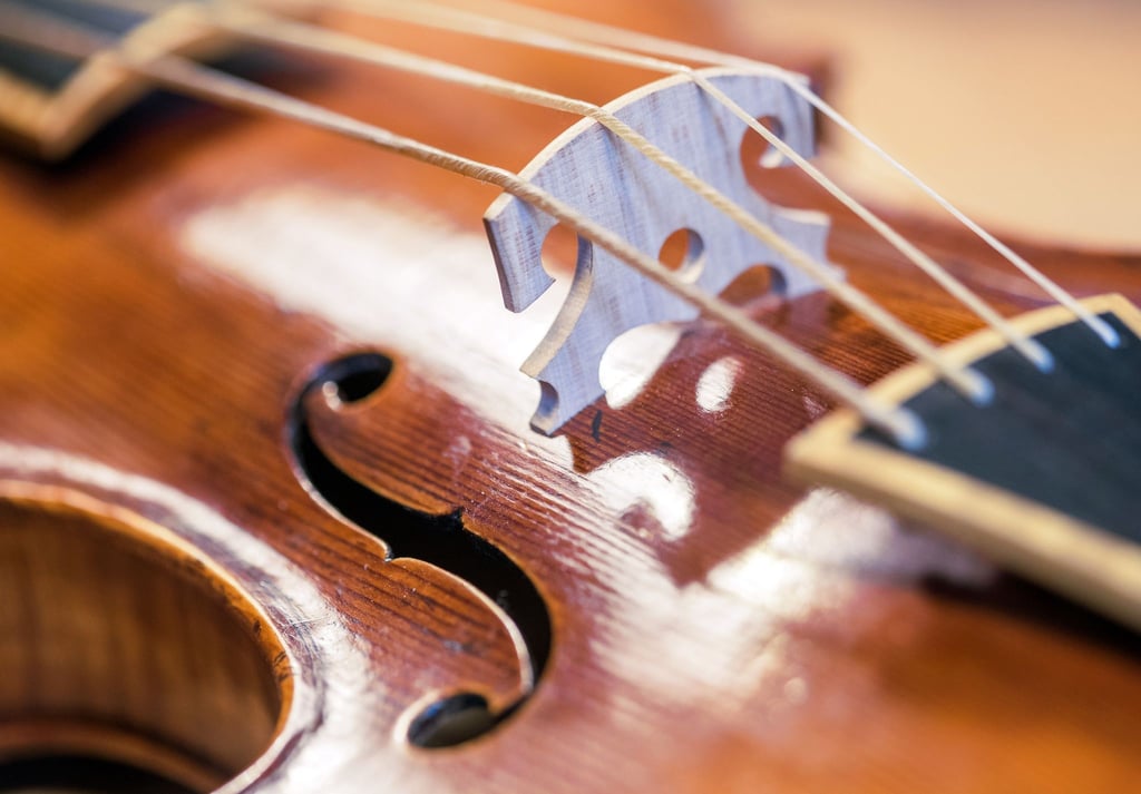 Mehr Platz für Musik: Lufthansa erlaubt ab März Musikinstrumente mit einem Summenmaß von maximal 125 Zentimetern in der Kabine.