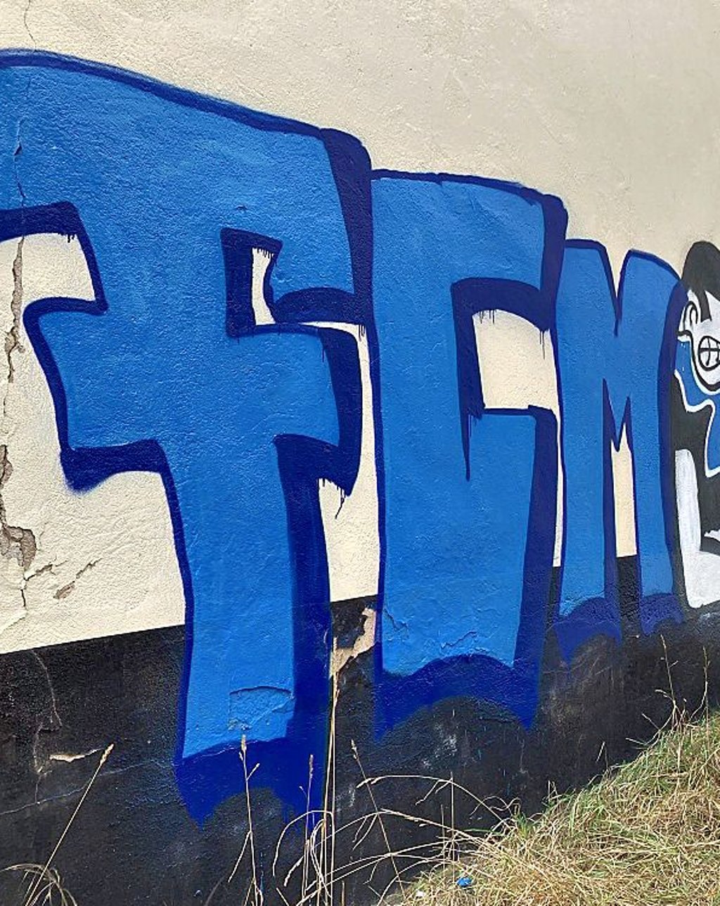 Die 15-Jährigen wurden erwischt, als sie diesen Schriftzug in der Anhaltischen Straße in Köthen sprühten.