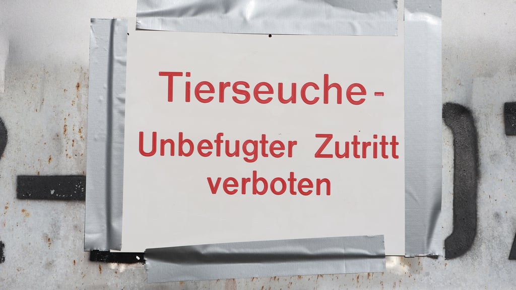 Wegen des erneuten Ausbruchs der Vogelgrippe in einem Geflügelbetrieb in der Gemeinde Kyffhäuserland hat der Kyffhäuserkreis eine Allgemeinverfügung erlassen.