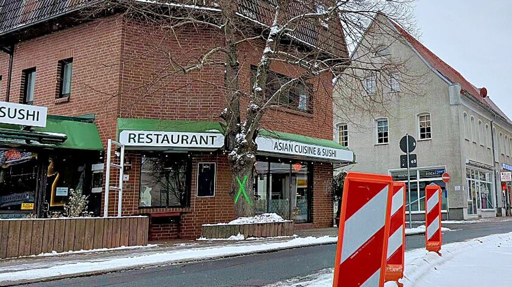 Die zur Fällung vorgesehenen Bäume sind markiert. 