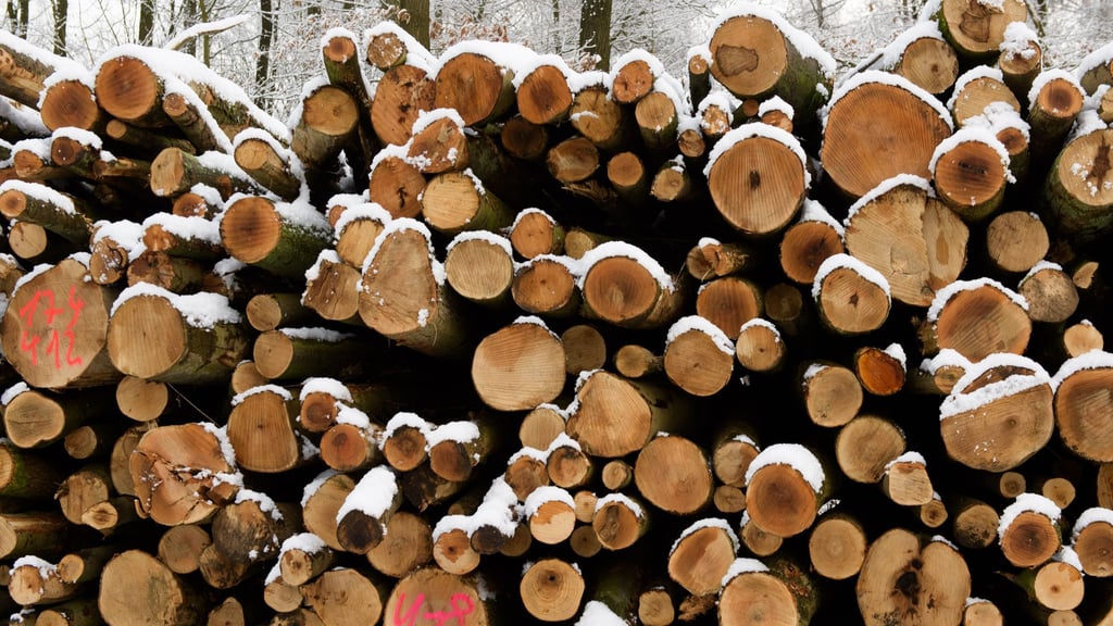 Der Hersteller von Holzbearbeitungsmaschinen Weinig leidet unter der Wirtschaftsflaute. (Foto Illustration)
