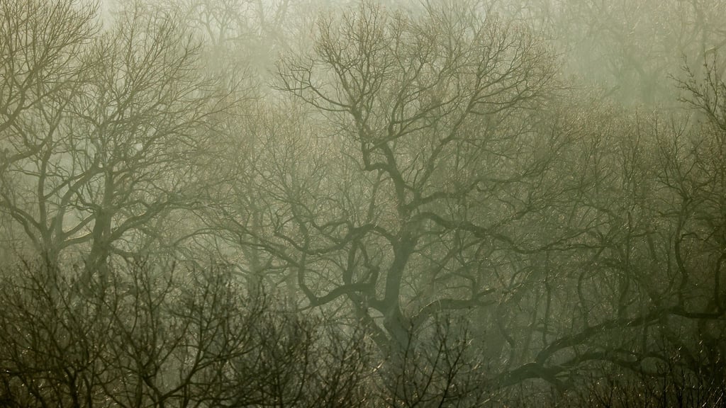Umweltverbände sorgen sich angesichts vieler Bauprojekte um die biologische Vielfalt in Leipzig (Archivbild).
