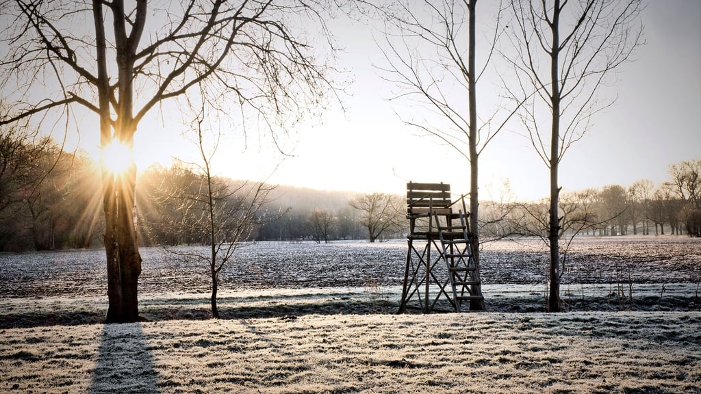 Die Temperaturen sinken in der Nacht auf -3 Grad. Am Wochenende könnte in Sachsen-Anhalt jedoch der Frühling durch die Tür kommen.