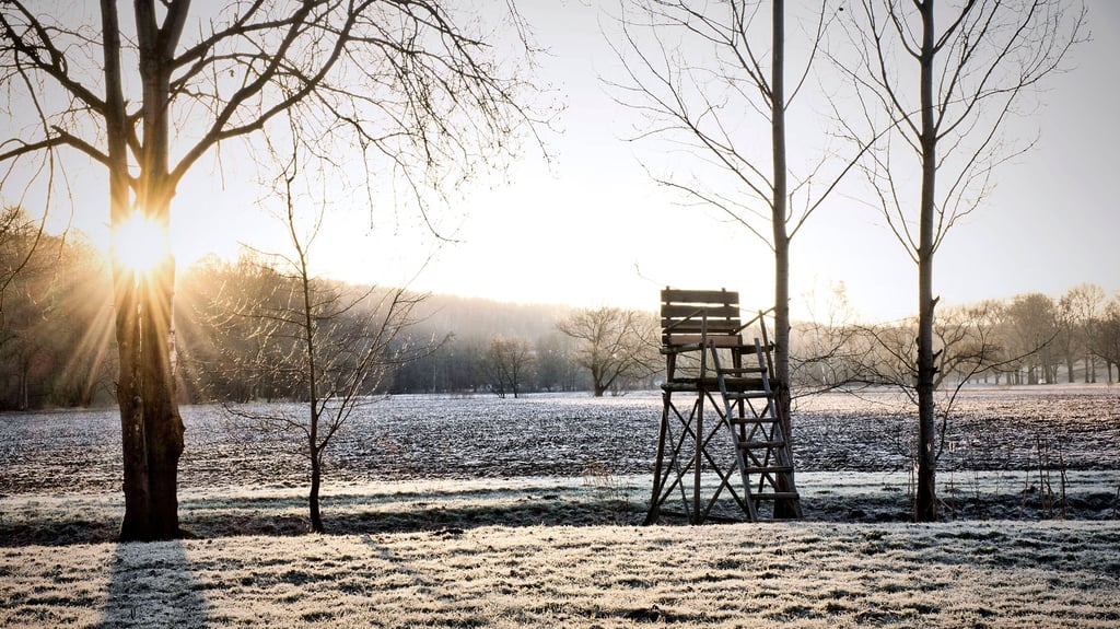Die Temperaturen sinken in der Nacht auf -3 Grad. Am Wochenende könnte in Sachsen-Anhalt jedoch der Frühling durch die Tür kommen.