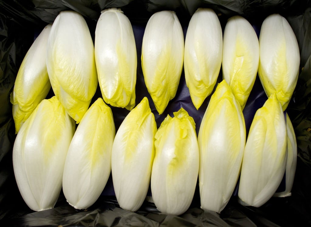 Bitterstoffe fördern die Verdauung: Chicorée, Endivien und Radicchio sind besonders reich an diesen sekundären Pflanzenstoffen.