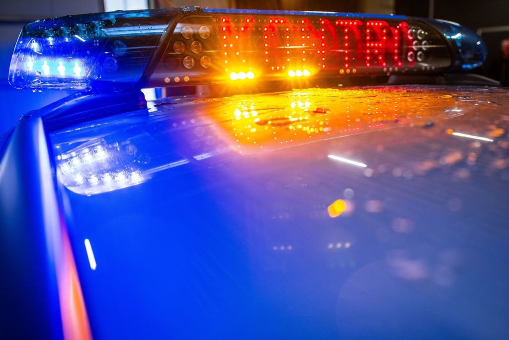 Immer wieder finden in Sachsen-Anhalt europaweit organisierte Kontrollen statt. (Symbolbild)