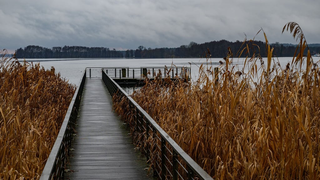 Es wird wärmer, bleibt aber vielerorts bedeckt und regnerisch. (Symbolbild)