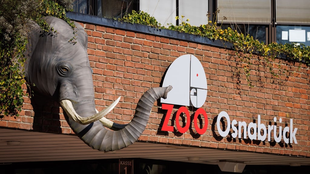 Ein Nandu ist im Zoo Osnabrück gestorben, bei einer ersten Untersuchung wurde der Vogelgrippevirus festgestellt. (Archivbild)