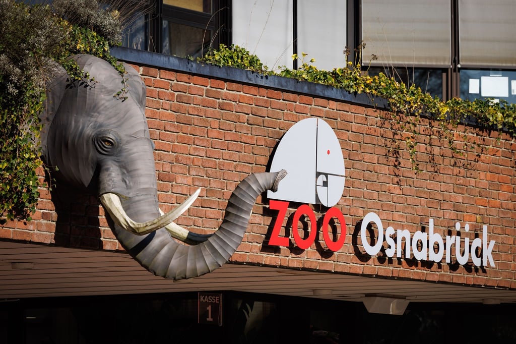 Ein Nandu ist im Zoo Osnabrück gestorben, bei einer ersten Untersuchung wurde der Vogelgrippevirus festgestellt. (Archivbild)