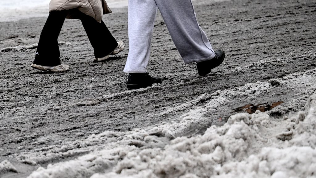 Nach Wochen mit Matsch und Kälte haben viele genug vom Winter.