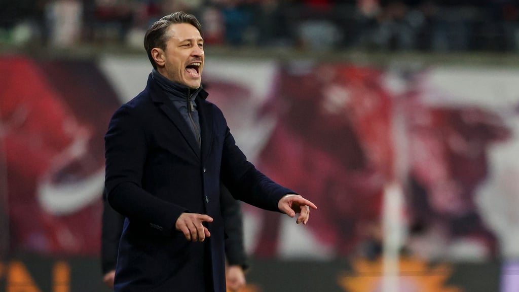 Dortmunds Trainer Niko Kovac wollte einen Elfmeter.