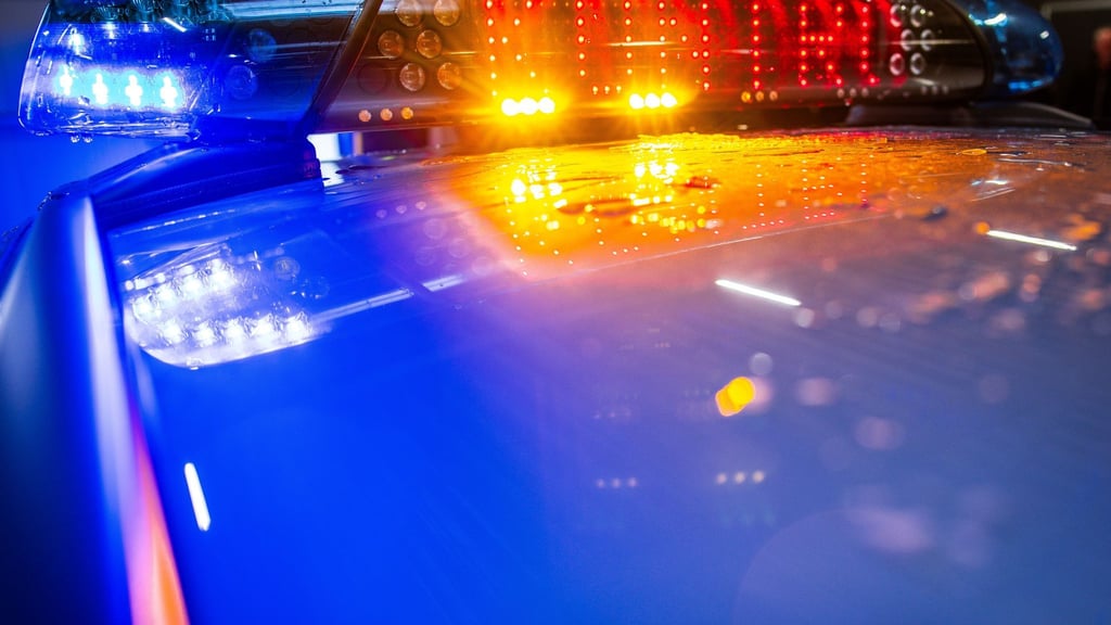 Immer wieder finden in Sachsen-Anhalt europaweit organisierte Kontrollen statt. (Symbolbild)