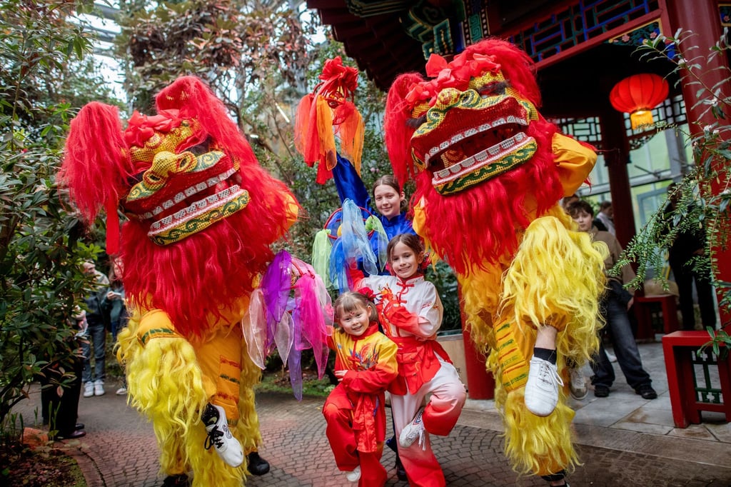 Nach dem chinesischen Kalender endete in dieser Woche das Jahr der Holzschlange und ging in das Jahr des Feuerpferdes über.