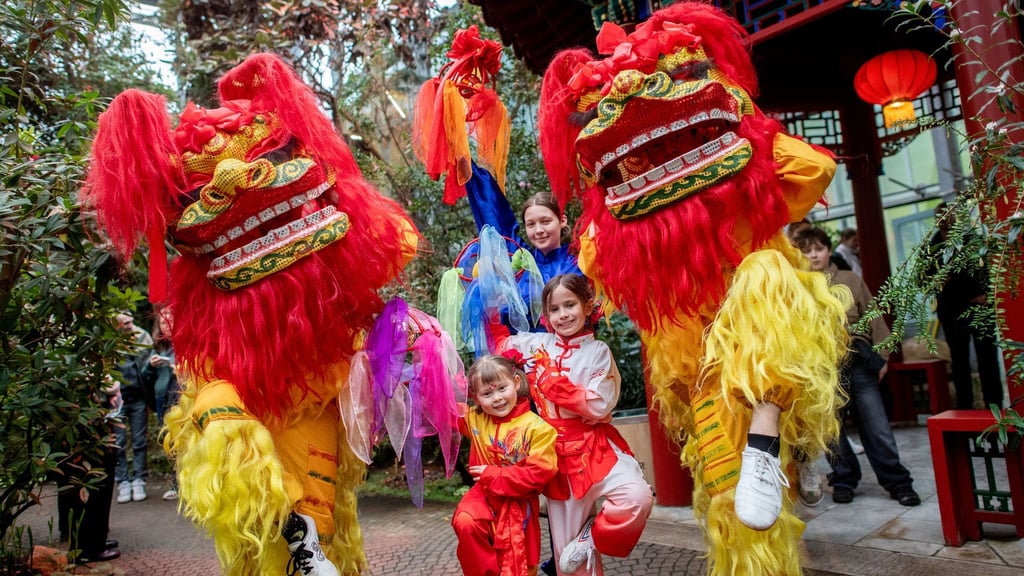 Nach dem chinesischen Kalender endete in dieser Woche das Jahr der Holzschlange und ging in das Jahr des Feuerpferdes über.