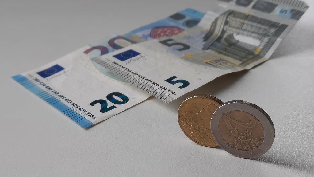 Für die ehrenamtliche Arbeit im Gemeinderat Ilberstedt wird die Entschädigung erhöht.