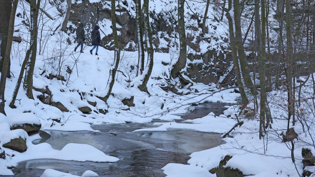 Die Bode entspringt im Harz und fließt unter anderem durch die Magdeburger Börde. Die Ilse fließt im Harz sowie im nördlichen Harzvorland und mündet in Niedersachsen in die Oker. (Archivbild)