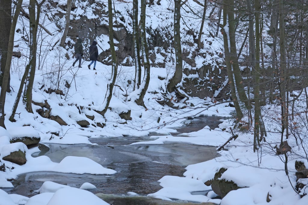 Die Bode entspringt im Harz und fließt unter anderem durch die Magdeburger Börde. Die Ilse fließt im Harz sowie im nördlichen Harzvorland und mündet in Niedersachsen in die Oker. (Archivbild)