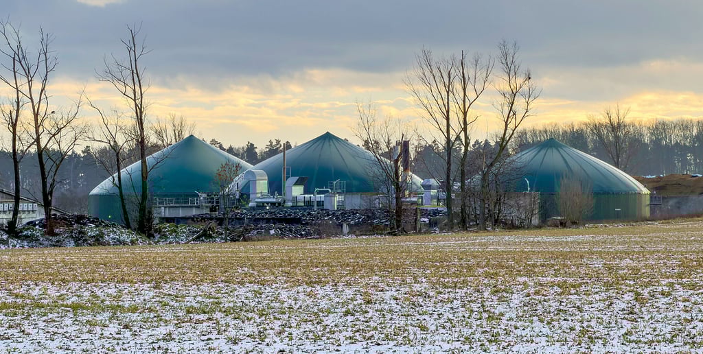 Blick zur Biogasanlage Wildenborn. Sie soll erweitert werden. 