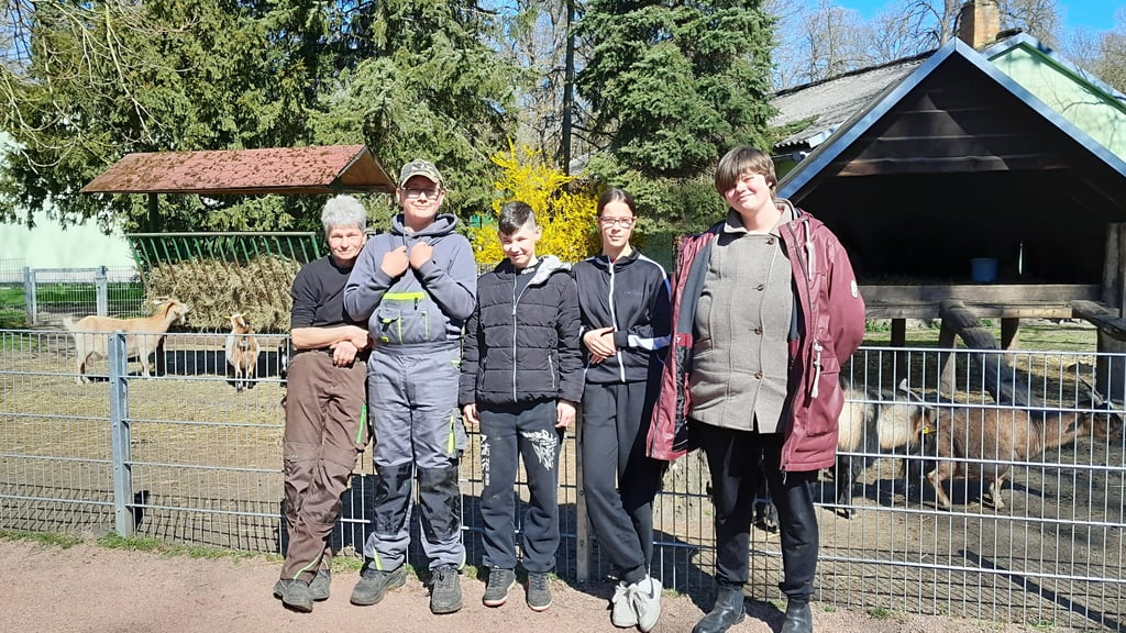 Schüler können sich ab sofort im Rahmen des Zukunftstages bei der Stadt Oschersleben anmelden. Wie bereits im vergangenen Jahr erhalten sie unter anderem einen Einblick in Tiergehege des Wiesenparks.