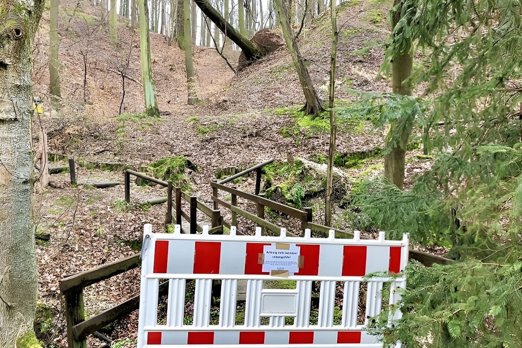 Bereits im Mai 2022 stürzte ein Baum im Osterfelder Hain um. Damals beschädigte er die Moschelbrücke.