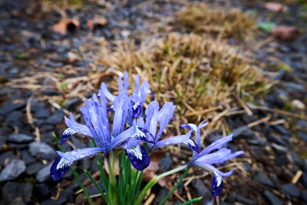 Die Temperaturen klettern in den nächsten Tagen in die Höhe.