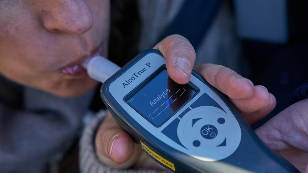 In Magdeburg wurde eine Autofahrerin von der Polizei gestoppt, die mit 2,73 Promille am Steuer saß.
