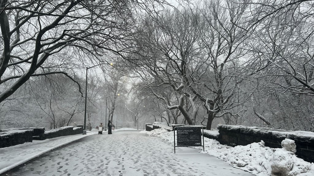 In New York legt der viele Schnee das öffentliche Leben lahm.