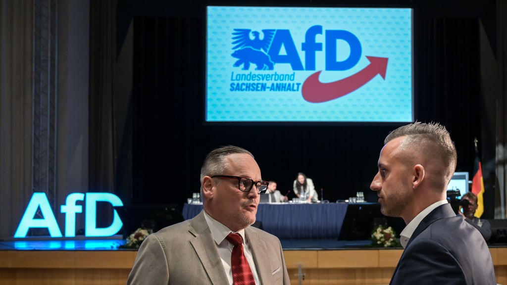 AfD-Landesvorsitzender Martin Reichardt und AfD-Fraktionschef Ulrich Siegmund (v.l.) stehen wegen Vorwürfen der Vetternwirtschaft unter Druck.