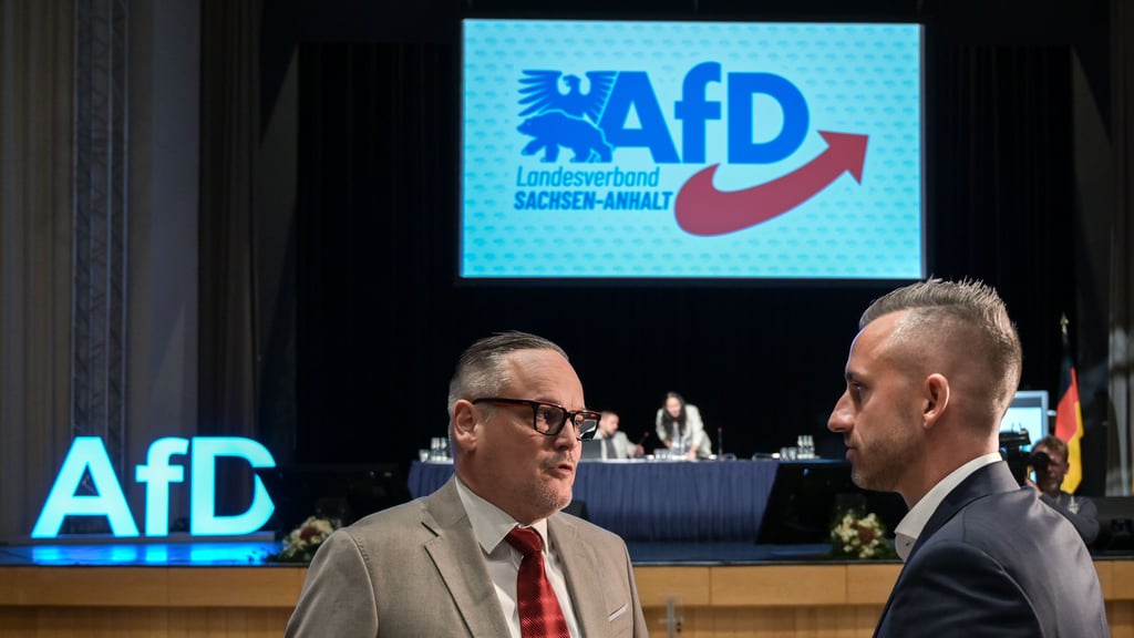 AfD-Landesvorsitzender Martin Reichardt und AfD-Fraktionschef Ulrich Siegmund (v.l.) stehen wegen Vorwürfen der Vetternwirtschaft unter Druck.