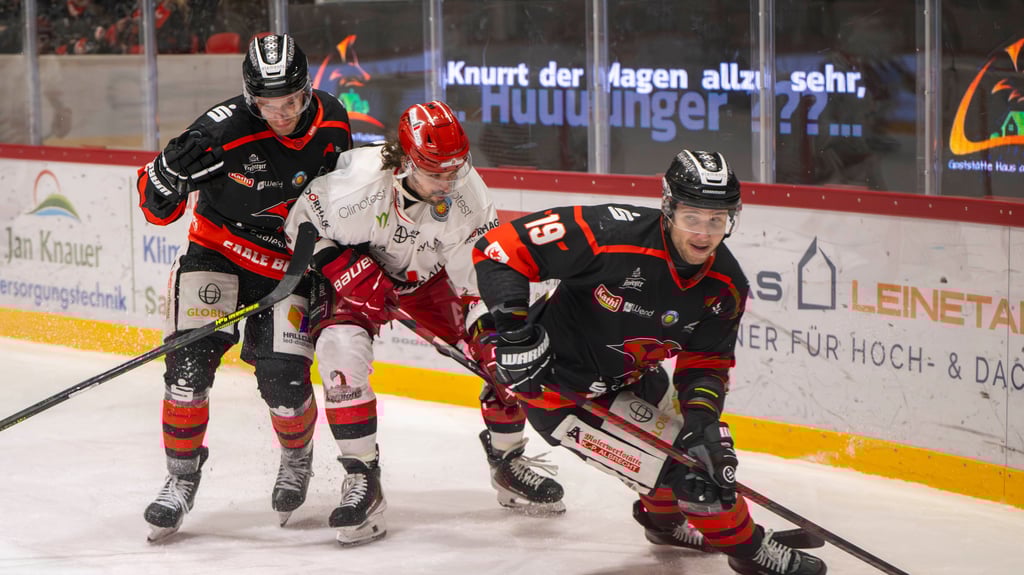 Elvijs Biezais (r.) und die Saale Bulls sind nun gegen die Hannover Scorpions gefragt.
