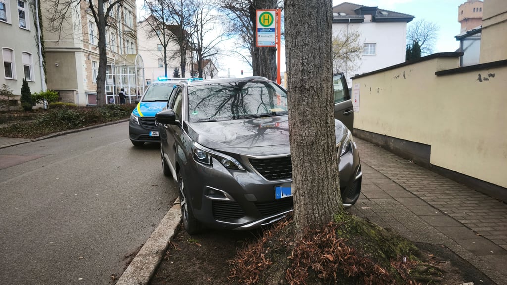 Parkendes Auto rollt in der Merseburger Lindenstraße los und kommt am Baum zum stehen.