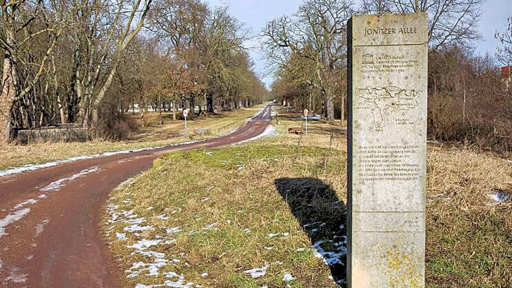 Die Jonitzer Allee in Waldersee:  Hier soll der Weg erneuert werden, die Schotterpiste verschwinden.