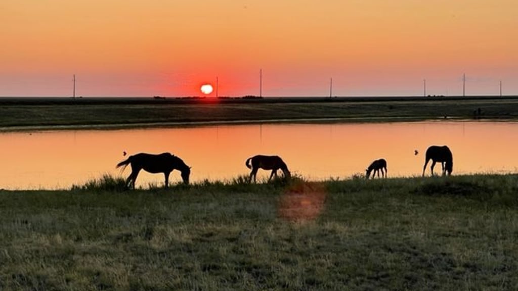 Kasachstan liegt in Mittelasien - und ist jetzt in Magdeburg Thema.