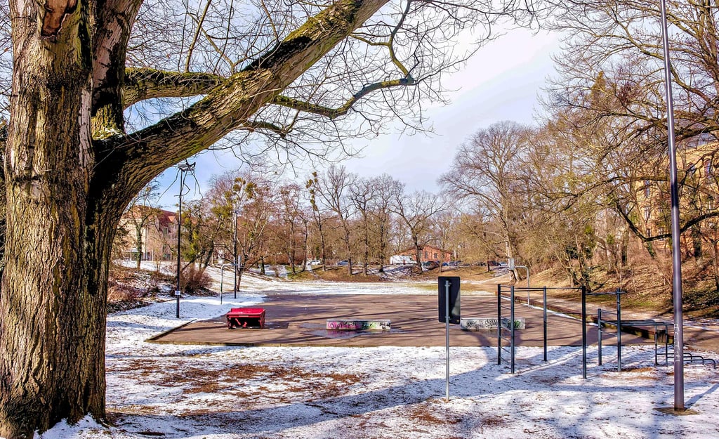 Am Amselgrund soll ein Grillplatz entstehen. In der Diskussion ist aber die Ausstattung.