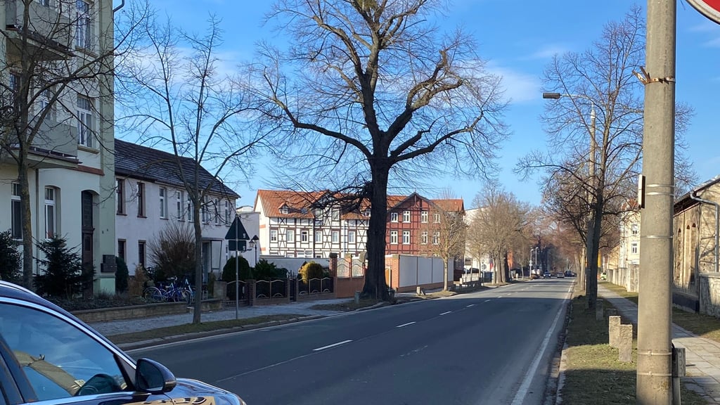 Die OdF-Straße in Halberstadt soll umfassend ausgebaut werden.
