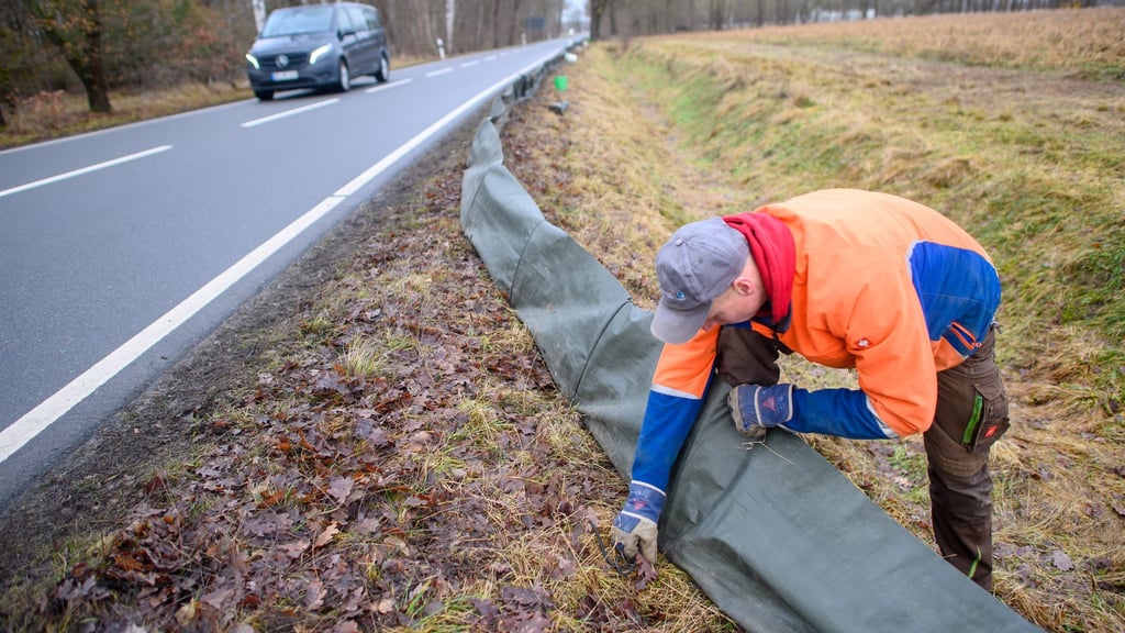 Derzeit werden die Krötenzäune installiert.