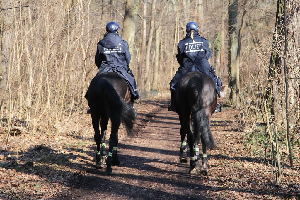Mit Hilfe der Reiterstaffel jagt die Polizei im Leipziger Auwald Bärlauch-Diebe.