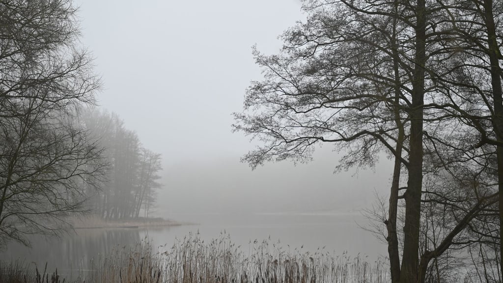 Auf dem Sprengplatz im Grunewald sind Detonationen zu hören. Spaziergänger haben der Polizei zufolge aber nichts zu befürchten. (Archivbild)