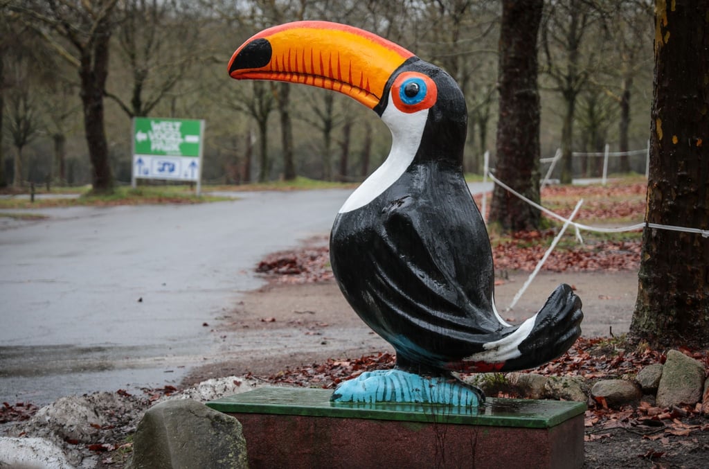 Der Vogelpark in Walsrode bleibt vorerst nach Ausbruch der Vogelgrippe für Besucher geschlossen.