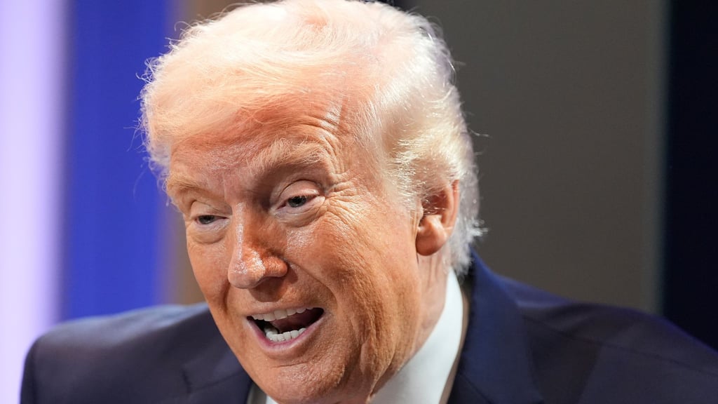 „Zölle“ gehört zu den Lieblingsworten von US-Präsident Donald Trump. (Archivfoto)