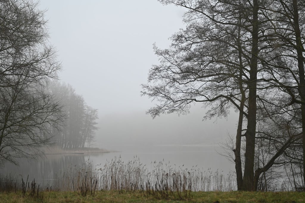 Auf dem Sprengplatz im Grunewald sind Detonationen zu hören. Spaziergänger haben der Polizei zufolge aber nichts zu befürchten. (Archivbild)