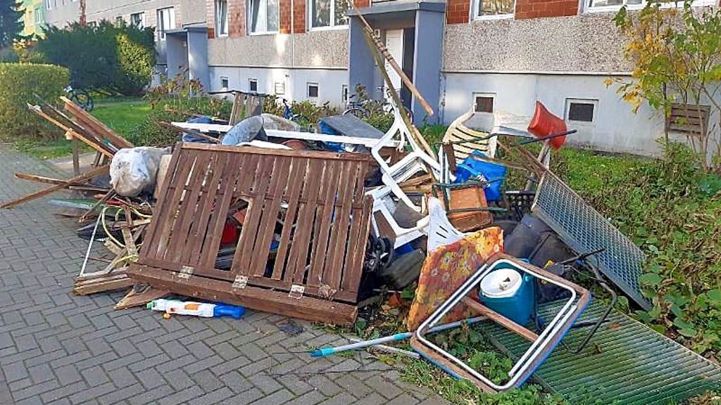 2025: Nur einer der 1.129 dokumentierten Funde im Stadtgebiet.